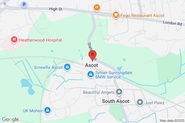 Ascot taxis