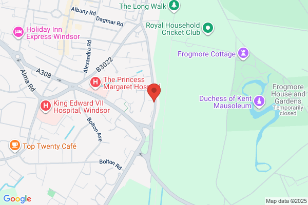 The Windsor Castle