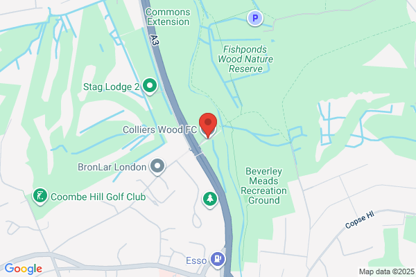 Colliers Wood United Football Club
