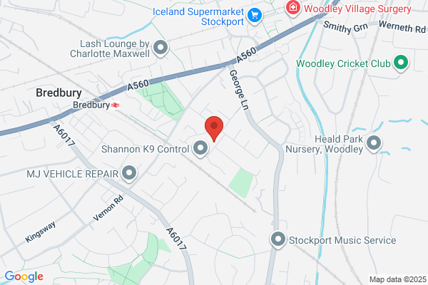 Scamps & Champs Reigate