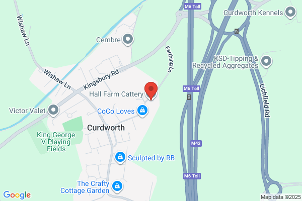 Hall Farm Cattery