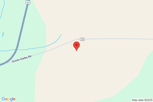 Willow Wood