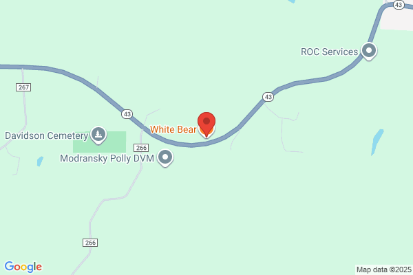 White Bear Inn