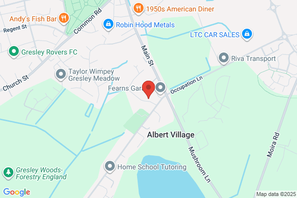 Albert Image