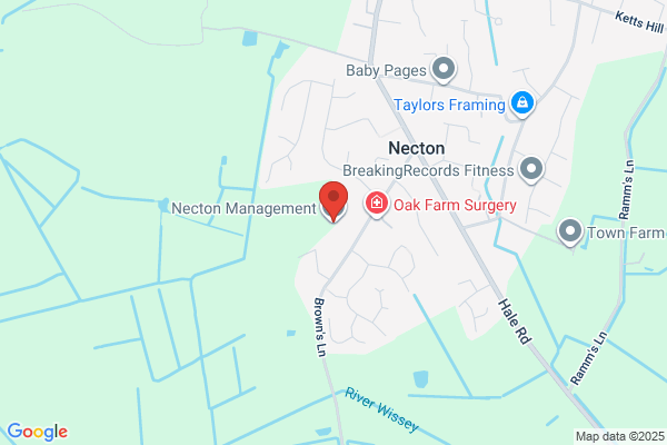 Necton Management Ltd