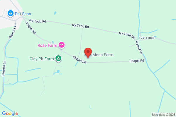 Necton Farms Ltd