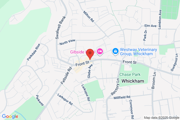 Domino's Pizza - Newcastle - Whickham