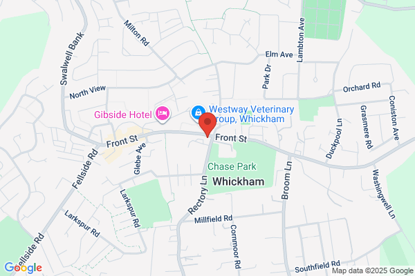 Your Move Estate Agents Whickham
