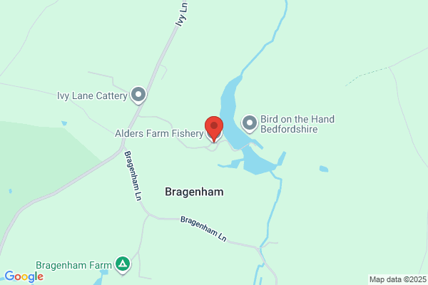 Alders Farm Trout Fishery