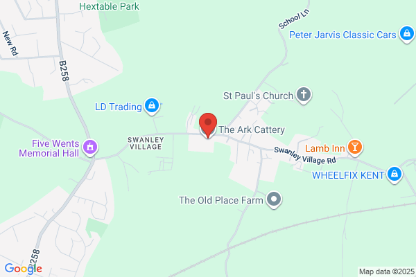 The Ark Cattery