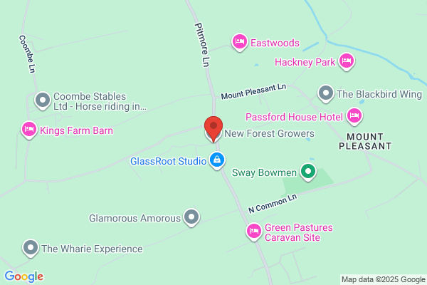 New Forest Growers Ltd
