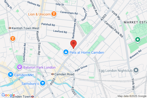 Specialist Business Services Ltd