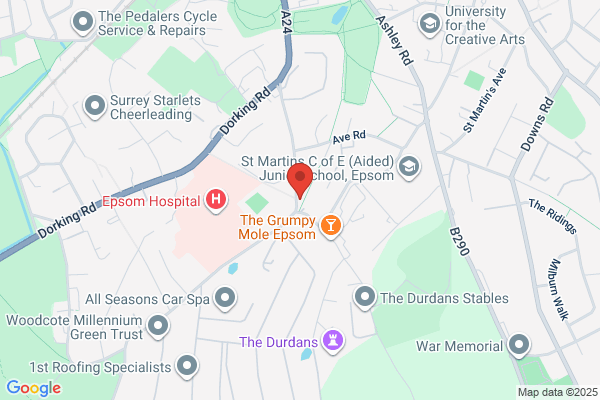 Surrey Carpenters