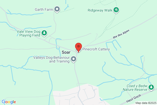 Pinecroft Cattery