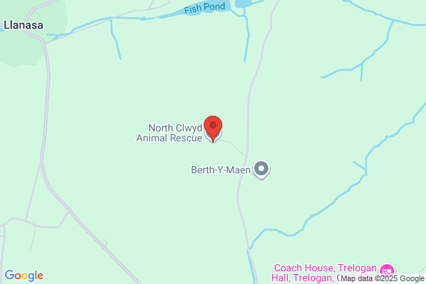 North Clwyd Animal Rescue