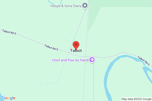 We Buy Any Car Port Talbot