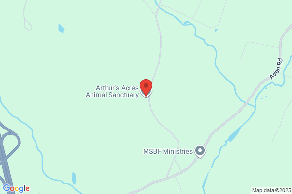 Arthur's Sanctuary