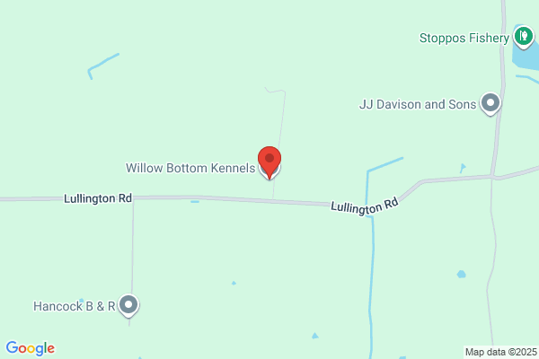 Willow Bottom Kennels