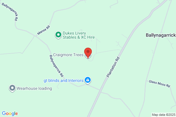 Craigmore Trees