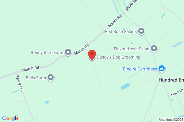 Dandy's Dog Grooming