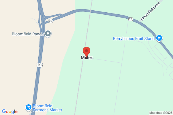 C A Miller