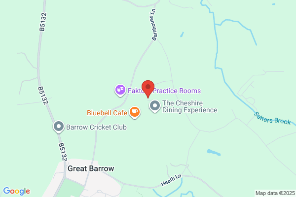 Cheshire Surveys