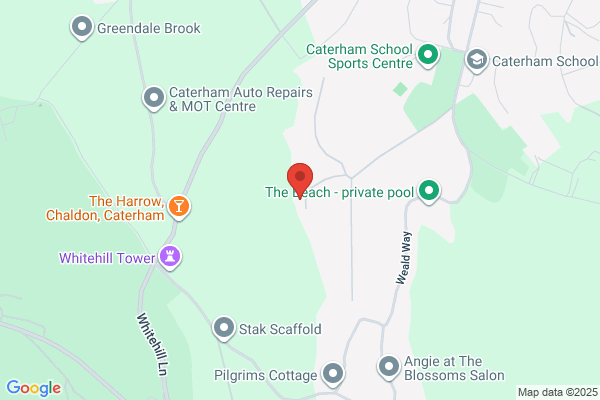 Caterham Tree Surgeons
