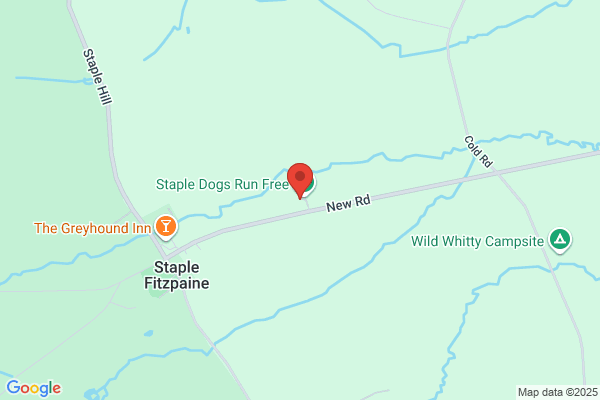 Staple Building Services