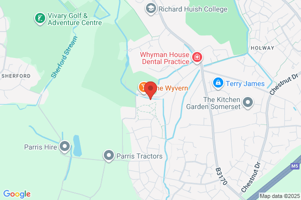 Wyvern Environmental Trust Ltd