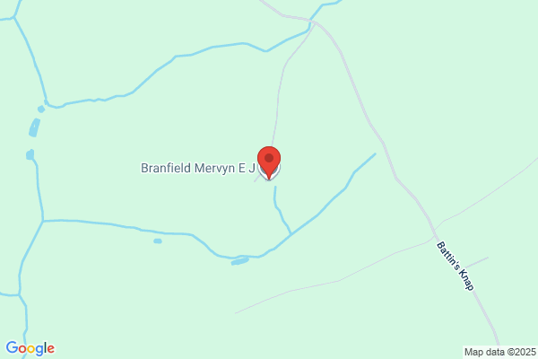 Mervyn E J Branfield