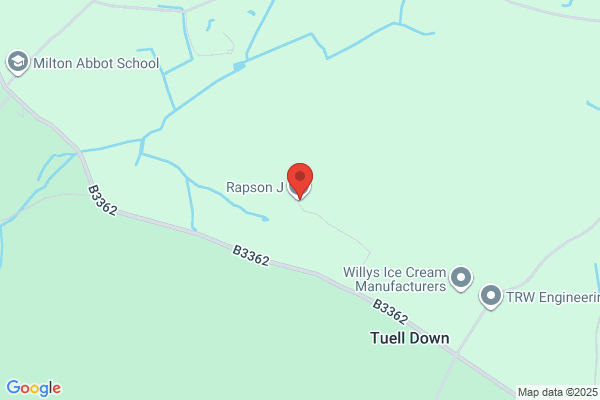 W A Rapson