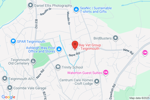 Teign View Veterinary Group