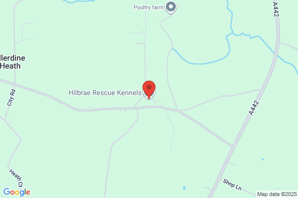 Hilbrae Pets Hotel
