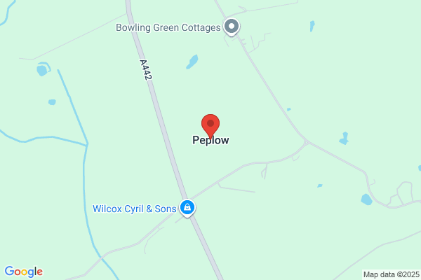 The Peplow Group