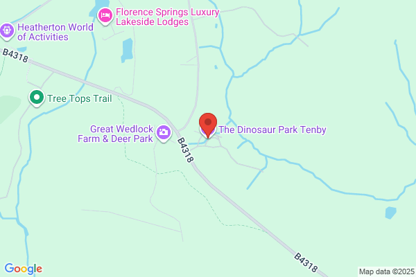 Great Wedlock Dinosaur Experience