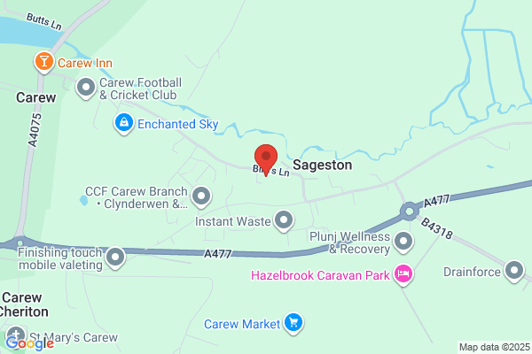 Sageston C P School