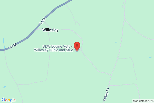 B&W Equine Vets - Willesley Clinic and Stud