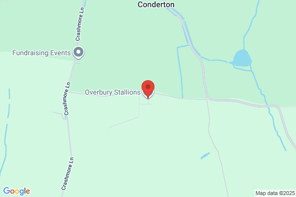 Overbury Stallions Ltd