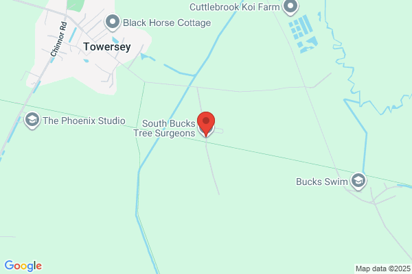 South Bucks Tree Surgeons