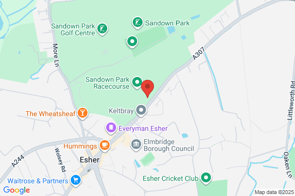 Esher Antiques Centre
