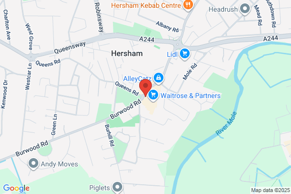 Ashley & Ace Cars