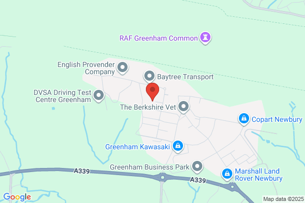 Groomers Ltd