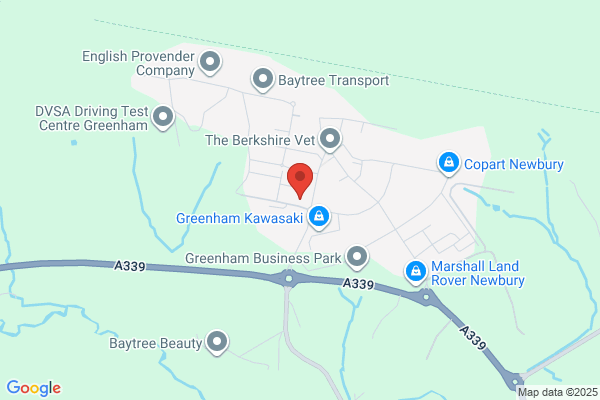 New Greenham Arts