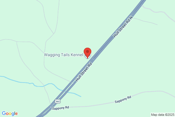Can I Wag Your Tail Kennels