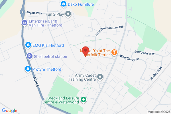 Fen-Spede Express Road Services