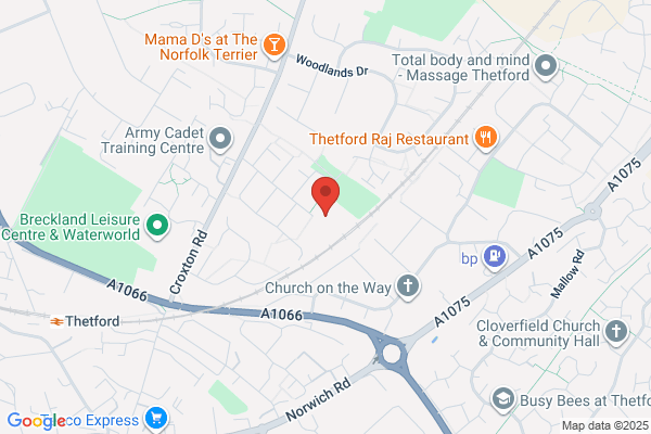 Thetford Drake Infant & Nursery