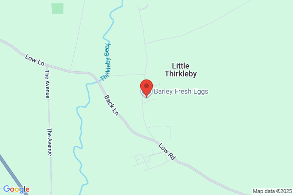 Barley Fresh Eggs