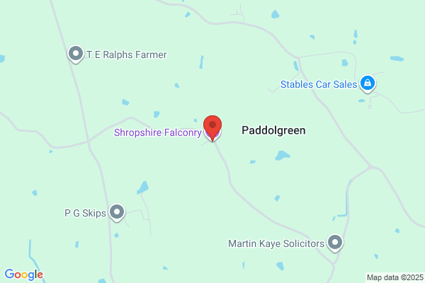 Falconry Ltd
