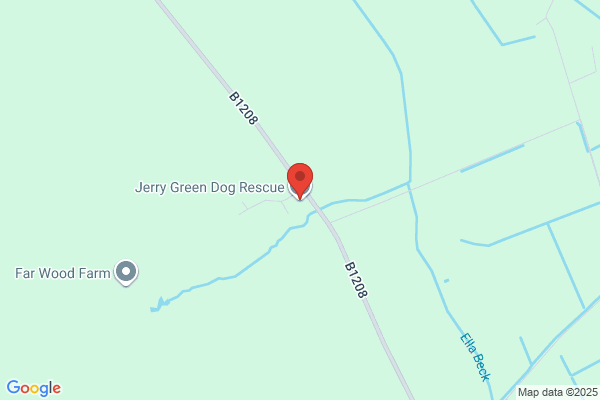 Jerry Green