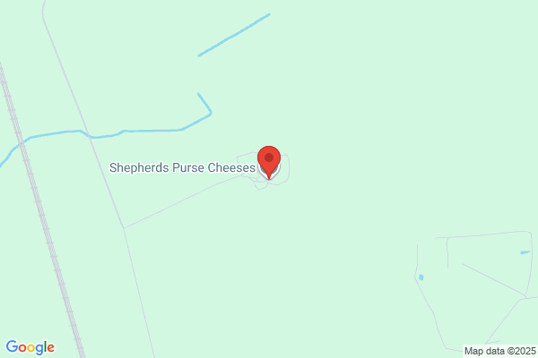 Shepherds Purse Cheeses Ltd